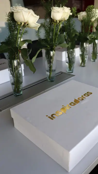 Workshop Inspiring Women Mayo 2024