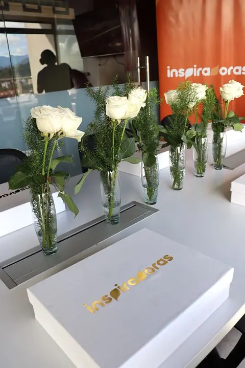 Workshop Inspiring Women Mayo 2024