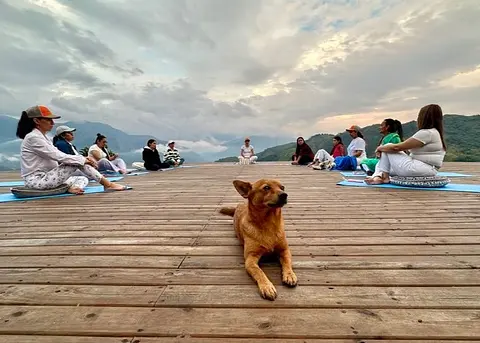 Ecosistema de Mujeres Febrero 2025