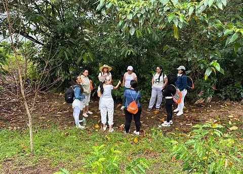 Ecosistema de Mujeres Febrero 2025